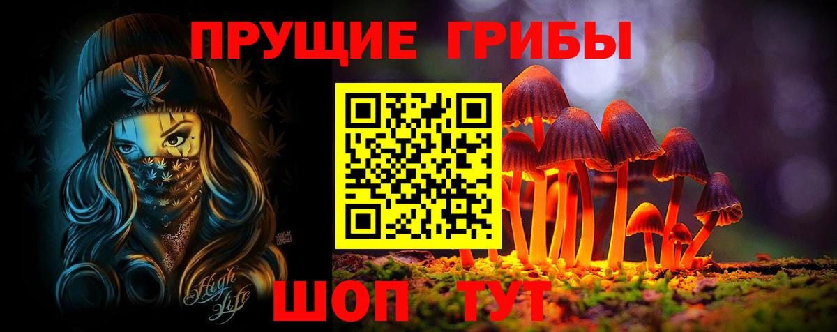 Менделеевск  Псилоцибиновые грибы мицелий  купить наркоту  Галлюциногенные грибы Psilocybe  Вход с VPN 
